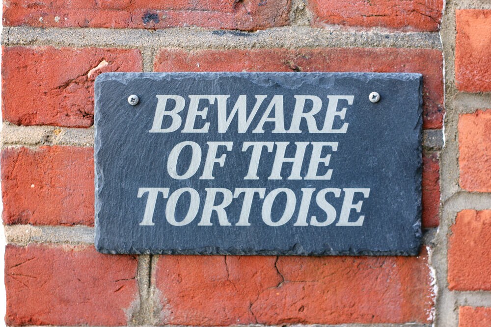 Beware of the Tortoise Slate plaque great garden sign present for gardener, lawn decoration, tortoise gift