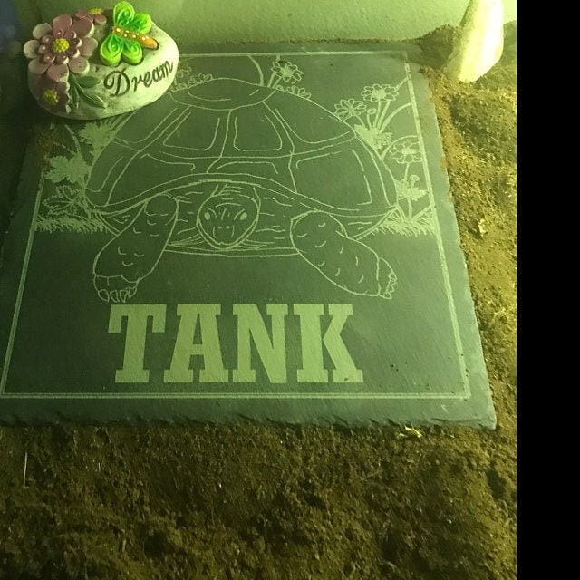 Personalised tortoise feeding slate or basking stone with stern tortoise picture
