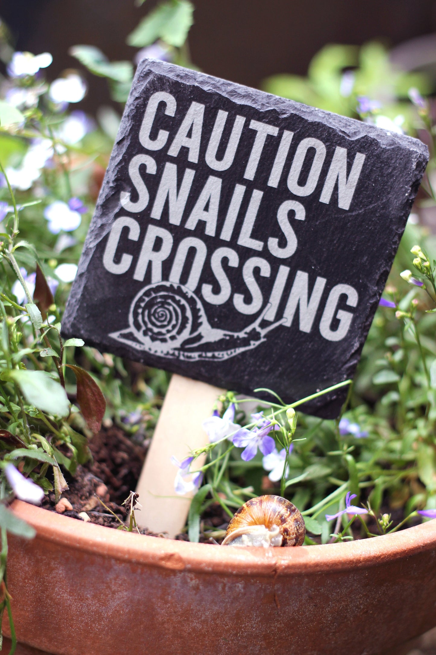 Fun slate garden sign, "Caution Snails Crossing", great for garden decoration in flower pots, kids garden gift,