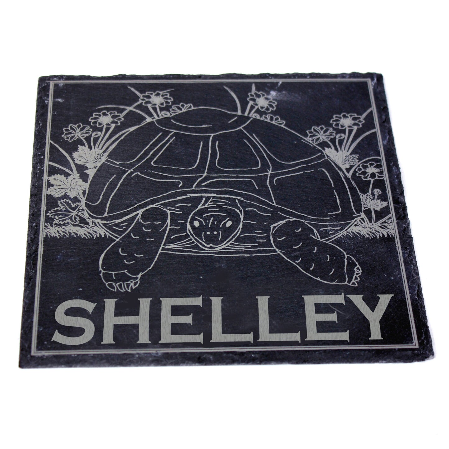Personalised tortoise feeding slate or basking stone with stern tortoise picture