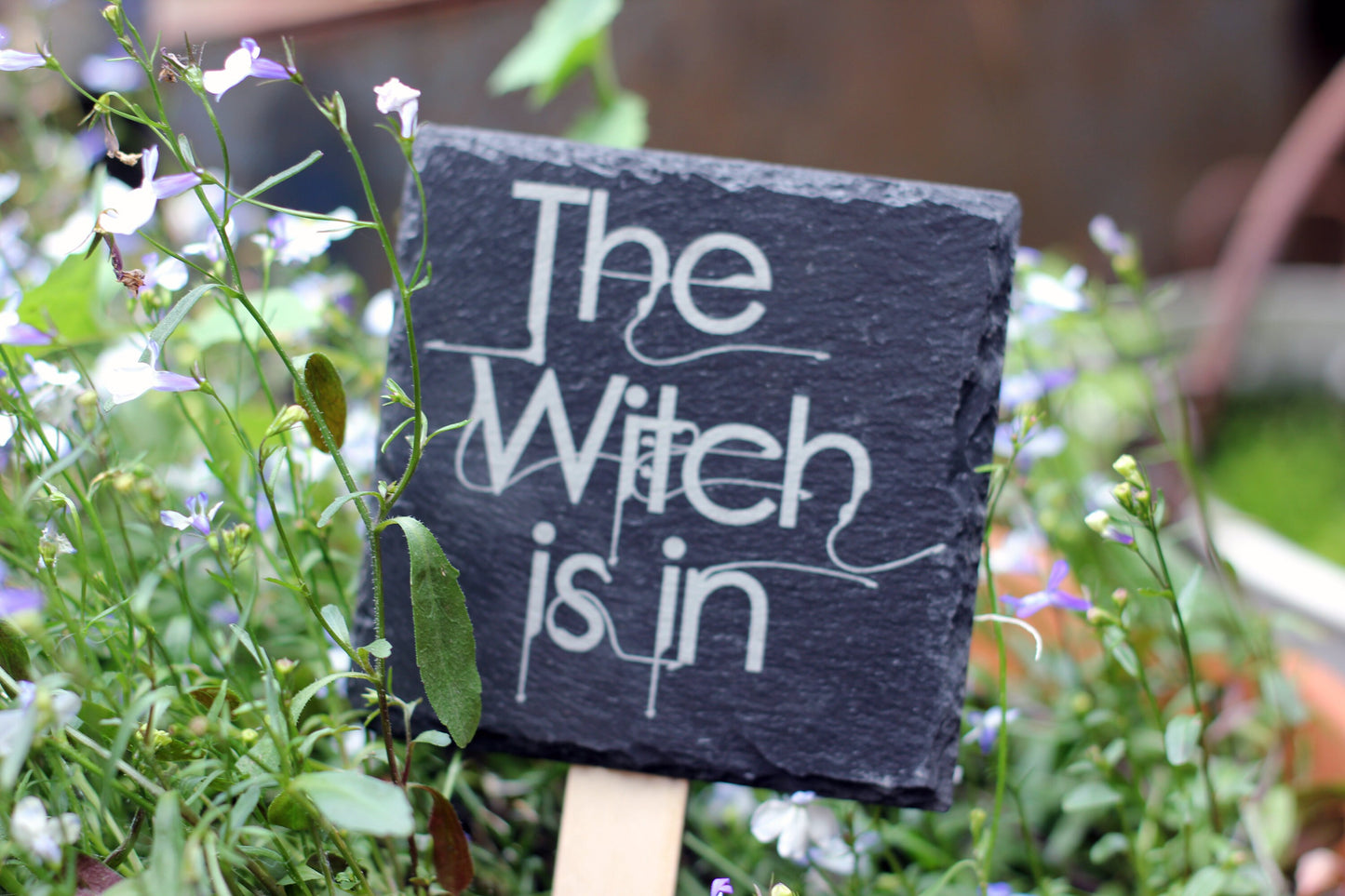 Fun slate sign, "The Witch is in", lovely Halloween decoration or Wicca gift for a witch to display all year round. A Gothic decoration.
